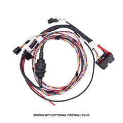 Standalone 2100 ECM Harness - In-cab ECM Location