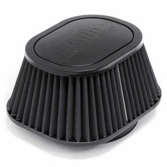 Banks Power Air Filter 42138-D