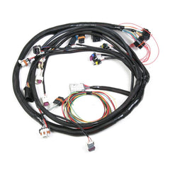 HOLLEY Main Wiring Harness LS2 & LS3 HLY558-103