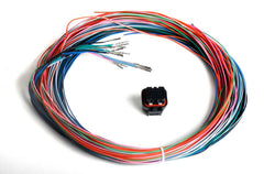 HOLLEY J2B Auxiliary Harness Kit HLY558-402