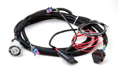 HOLLEY Trans Wiring Harness GM 4L60/80E HLY558-405